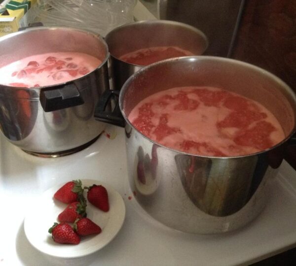 Archontiko Art Hotel