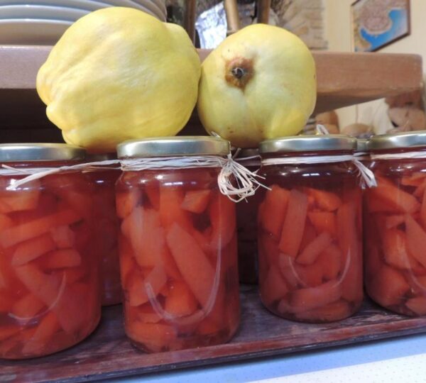 Archontiko Art Hotel