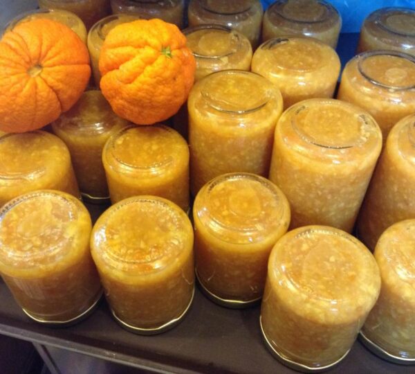 Archontiko Art Hotel