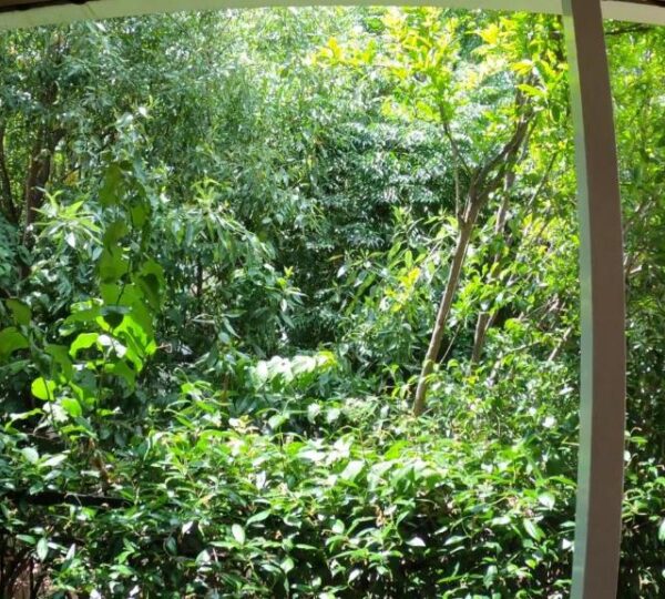 Seamore Pension-Παραδοσιακή διαμονή στο μαγευτικό Γαλαξίδι